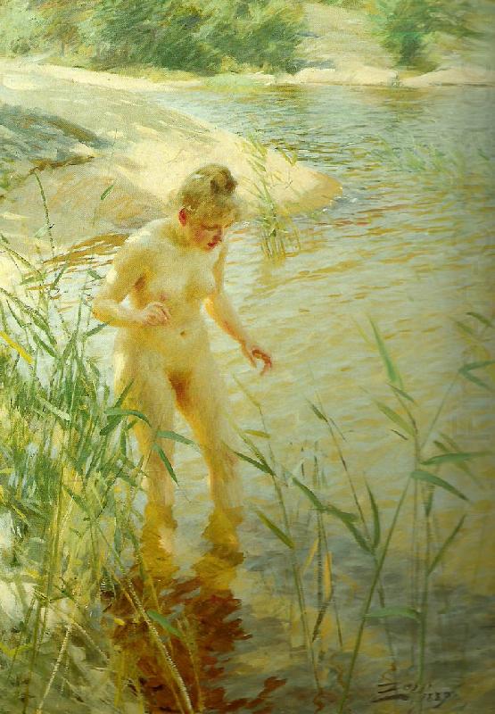 Anders Zorn reflexer china oil painting image